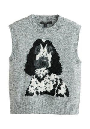 Next, REGULAR FIT - TANK TOP - Top - grey dog