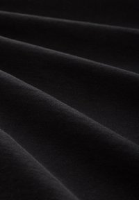 TOM TAILOR DENIM LANGARM - Langærmet T-shirt - black