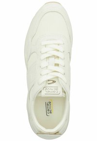 camel active Sneaker low - offwhite