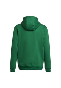 Sudadera verde con capucha, de textura suave, puños y cintura elásticos. Cuenta con un bolsillo canguro y un diseño con costura en la espalda.