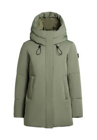 Niet geselecteerd, olive