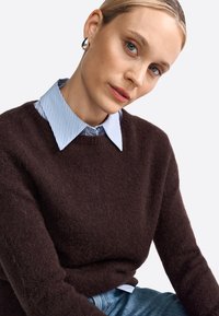 Pull en laine marron avec un col rond, associé à une chemise à col rayée bleu clair. Présente une texture douce et une silhouette ajustée.