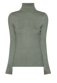 Pull à col roulé côtelé ajusté en vert doux avec manches longues et détails aux épaules légèrement bouffantes.