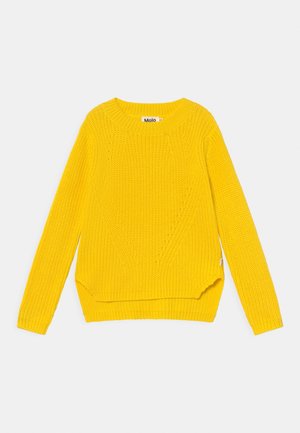 Pull en tricot jaune avec un col rond, des manches longues, des poignets côtelés et un ourlet légèrement court. Présente des motifs texturés sur l'ensemble.