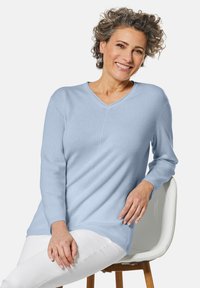 Hellblaues V-Ausschnitt-Sweatshirt mit langen Ärmeln, gerippten Bündchen und Saum, getragen über weißen Hosen, präsentiert auf einer sitzenden Person vor weißem Hintergrund.