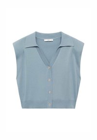 SCHOUDERVULLING - Cardigan - blauw