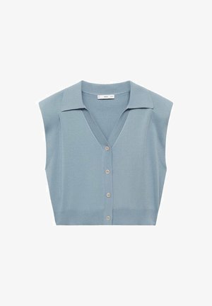 Lichtblauwe gebreide mouwloze cardigan met een V-hals, knoopsluiting aan de voorkant en een kraag. Smooth textuur en aangesloten ontwerp.