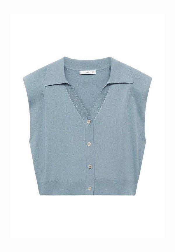 SCHOUDERVULLING - Cardigan - blauw3