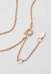 Collana in oro rosa con link rotondi, dotata di chiusura a moschettone e targhetta incisa. Texture liscia con finitura lucida.