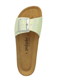 Sandale glissante vert clair avec une sangle texturée et une boucle en argent. Semelle intérieure brun texturé avec un marquage, semelle plate. Design simple.