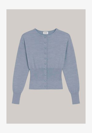 Hellblauer, langärmeliger Strickcardigan mit rundem Ausschnitt, Knopfleiste vorne, tailliertem, geripptem Bund und Ärmelbündchen, auf neutralem Hintergrund präsentiert.