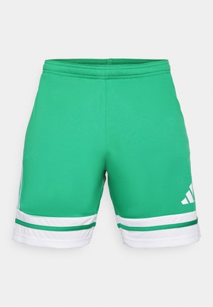 Žali sportiniai šortai, pagaminti iš lygaus audinio. Apatinėje dalyje yra baltos juostelės ir iškilmingas logotipas šone. Elastinga juosmens juosta.