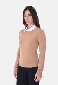 Maglione beige chiaro realizzato in tessuto morbido, con scollatura rotonda, vestibilità aderente e maniche lunghe, abbinato a una camicia bianca con colletto sotto.