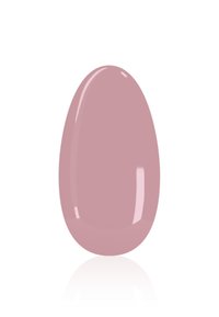 Immagine in miniatura 2