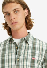 Giovane con capelli ondulati biondo chiaro, che indossa una camicia a quadri verde e bianca di Levi's e un piccolo orecchino a cerchio.