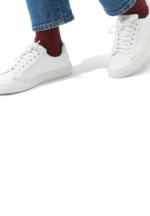 Scarosso CECILIA LEO - Sneakers - white  calf