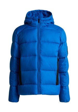 Kind met gevlochten haar, gekleed in een blauwe gewatteerde jas, grijze joggingbroek met zijzak en witte sneakers, staand tegen een effen achtergrond.