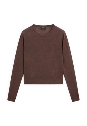 Maglione a maniche lunghe di maglia marrone con collo tondo, design cropped e orlo a coste. Tessuto morbido con dettagli di cucitura minimi.