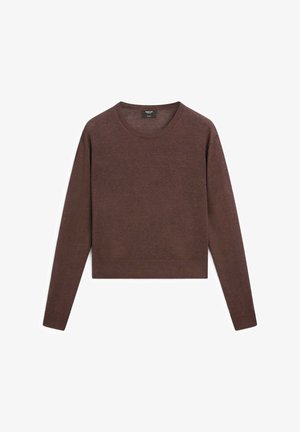 Pull en maille marron à manches longues, avec un col rond, une coupe courte et un ourlet côtelé. Texture douce avec des détails de couture minimaux.
