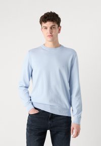 Světle modrý svetr s dlouhým rukávem vyrobený z texturovaného pleteného materiálu. Obsahuje ribovaný výstřih a manžety, na hrudi je malé logo.