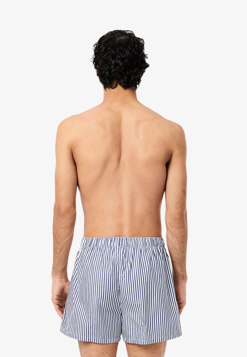 Blue and white striped swim trunks with an elastic waistband, displaying a lightweight fabric and relaxed fit. Viewed from the back.