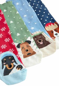 Next CHRISTMAS PATTERN 4 PACK.  REGULAR FIT - Strømper - nativity dogs