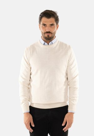 Maglione beige a girocollo realizzato in morbido tessuto a maglia, con maniche lunghe e orlo aderente, indossato sopra una camicia colletto azzurra.