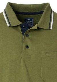 Oliwkowa koszulka polo z prążkowanym kołnierzykiem w niebieskie i białe paski. Zapięcie na trzy guziki oraz mała kieszonka na piersi.