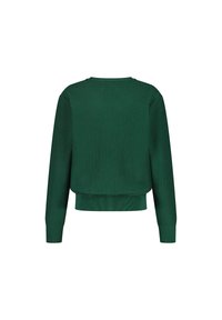 Groene gebreide trui met een textured patroon, cropped ontwerp, ronde halslijn en geribde boorden en onderkant. Achteraanzicht weergegeven.
