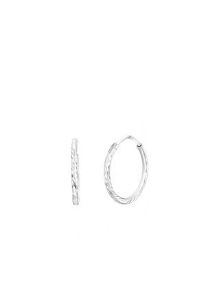 Oorbellen - silver-coloured