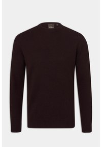 Brauner Pullover, runder Ausschnitt, lange Ärmel, gerippte Bündchen und Abschluss, glatte Textur, aus weichem Stoff, mittlere Passform, keine Muster oder Akzente.