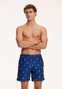 Shiwi REGULAR FIT PELICAN - Peldēšanas šorti - royal blue
