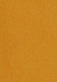 Solides orange Material mit einer subtilen Textur. Gleichmäßige Oberfläche, frei von Mustern oder Akzenten, die ein einheitliches Erscheinungsbild präsentiert.