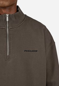 Pegador LOGO  - Ikdienas džemperis - washed walnut brown black