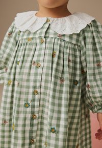 Next REGULAR FIT  EMBROIDERED COLLAR - Freizeitkleid - green check