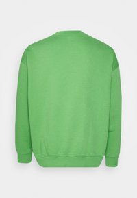 Grøn sweatshirt med blød tekstur, rund halsudskæring, lange ærmer og ribbet kant. Ingen synlig branding. Ensfarvet bagfra.