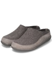 Haflinger BLIZZARD SKANE - Pantoffels - grau