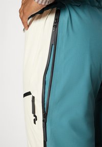 Peak Performance VERTICAL GORE-TEX PRO BIB - Pantalons de ski - hydro fresh/sand fog