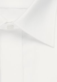 Seidensticker REGULAR FIT - Businesshemd - braun