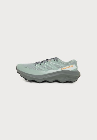Salomon ULTRA FLOW 2 GTX
