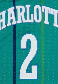 Mitchell & Ness LARRY JOHNSON 2 CHARLOTTE HORNETS NBA  - Top - turquoise