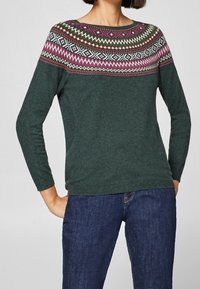 Maglione verde lavorato a maglia con giromanica rotondo e un motivo geometrico multicolore. Maniche lunghe e orlo aderente. Indossato con jeans blu.