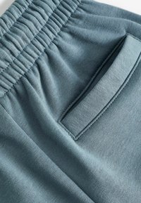 Next CARGO  REGULAR FIT - Šorti - teal