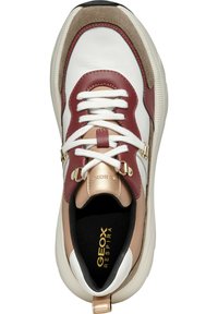 Geox DIAMANTA - Zapatillas - taupe terracotta