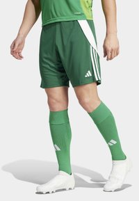 adidas Performance - TIRO - Sports shorts - team dark green/white Miniatyrbilde 1