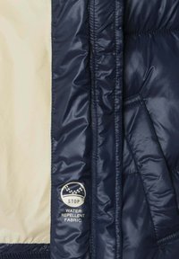 Pepe Jeans ESSIE - Zimska jakna - dulwich blue