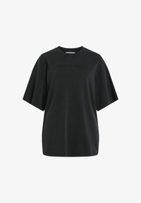 Seleccionado, meteorite