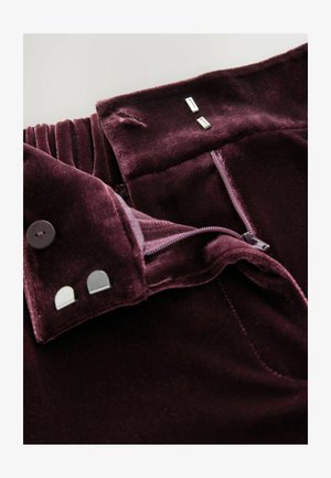 Burgundy velvet pants with a hidden zipper, featuring a button closure and metal accents. Soft texture with pleated waistband detail.