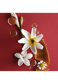 Miniatyrbild 5