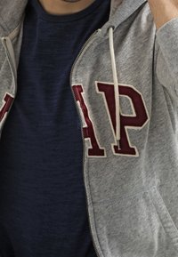 Felpa grigia con zip e scritta maroon "AP" sul davanti, indossata sopra una T-shirt blu navy. Tessuto morbido con cappuccio regolabile e tasche laterali.